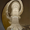 Spiral glass staircase chandelier