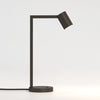Oil bronze hotel reading lamp